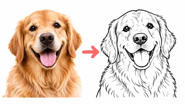 A pet photo next to a line art coloring page