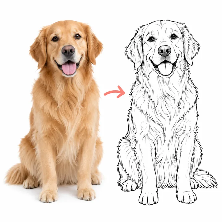 Golden retriever portrait beside its black-and-white coloring page outline